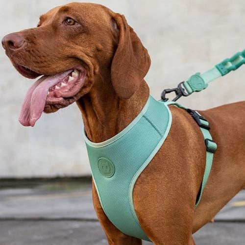 zeedog_army_harness2_perro_7898582508969.jpg
