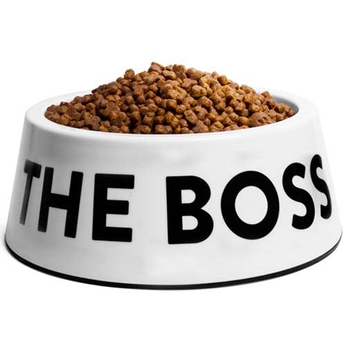 zeedog_bowl_im_the_boss2_perro_7898582453085.jpg