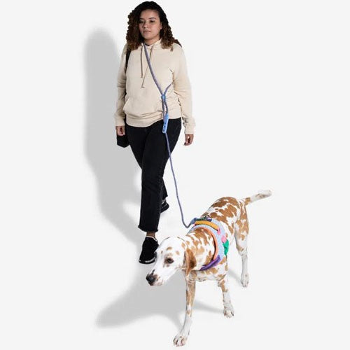 zeedog_correa_handsfree2_perro_7908471103943.jpg