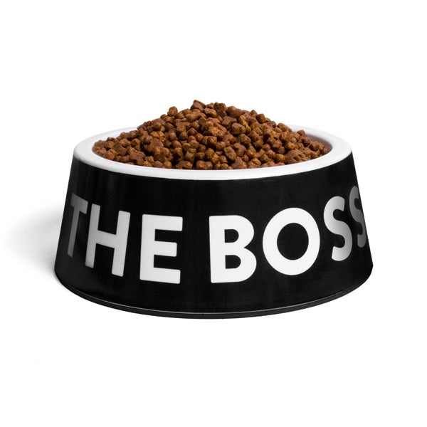 zeedog_imtheboss_bowls_large2_plato_perros_7898582463114.jpg