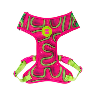 zeedog_jelly_adjustable_air_mesh_harness_small_7908253607973.jpg