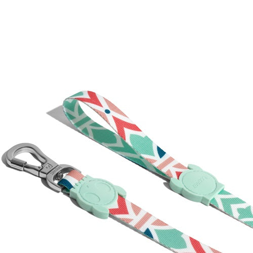 zeedog_marcuch_leash_perro_small2_7898582495375.jpg