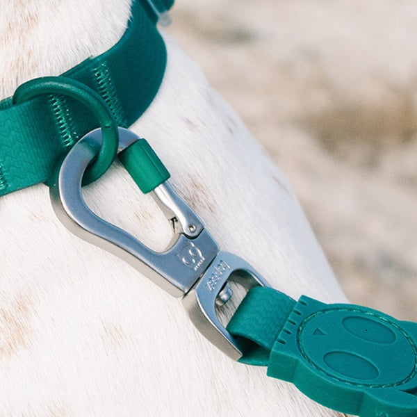 zeedog_neopro_amazonia_leash_extrasmall2_paseador_perros_7898582485895.jpg