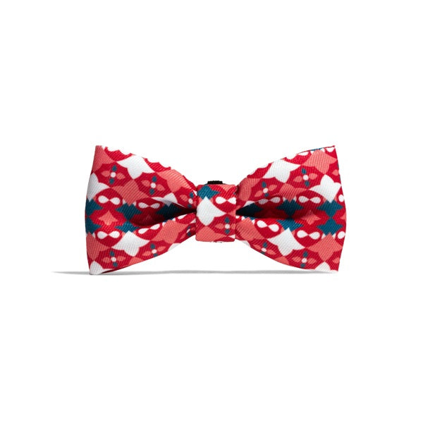 zeedog_same_bow_tie_perro_large_7898582496372.jpg