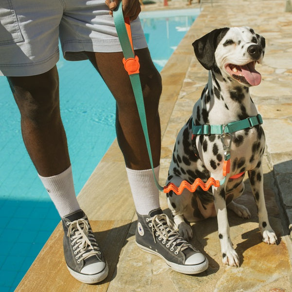zeedog_twist_leash_small2_ruff_perros_7898582480487.jpg