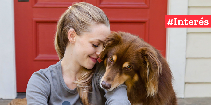Famosos y sus mascotas en Instagram