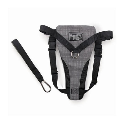 arnes_seguridad_talla_m_arnes_de_seguridad_all_for_paws_perros_847922081362.jpg