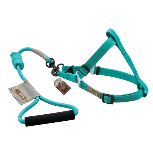 arnés_y_correa_de_tracción_verde_talla_m_1