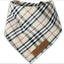 bandana_escocesa_perro_8029030160333.jpg
