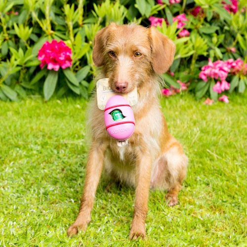 beco_pets_pocket_portador2_caca_perro_5060189750924.jpg