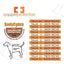 body_cobre_post_operatorio_perro2_781683604213.jpg