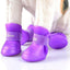botas_plastico2_perro_7877770607134.jpg