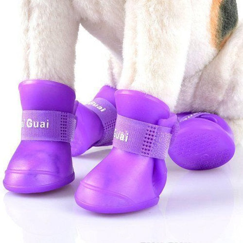 botas_plastico2_perro_78777706071341.jpg