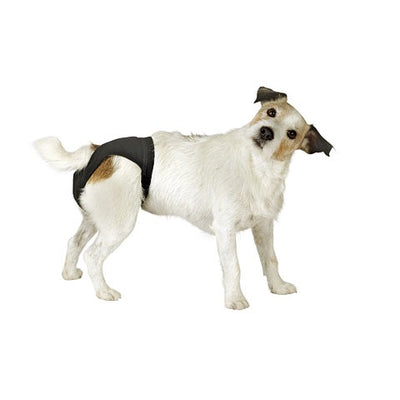 calzon_de_celo_kerbl_higiene_y_belleza_canino_4018653834381.jpg
