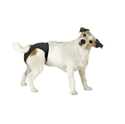 calzon_de_celo_kerbl_higiene_y_belleza_canino_4018653834435.jpg