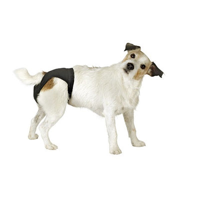 calzon_de_celo_kerbl_higiene_y_belleza_canino_4018653834398.jpg