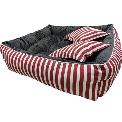 cama_softsell_premium_xl_perro2_147381093000029.jpg
