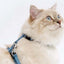 cat_it_arnes_azul2_gato_022517553640.jpg
