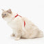 cat_it_arnes_rojo2_gato_022517553619.jpg