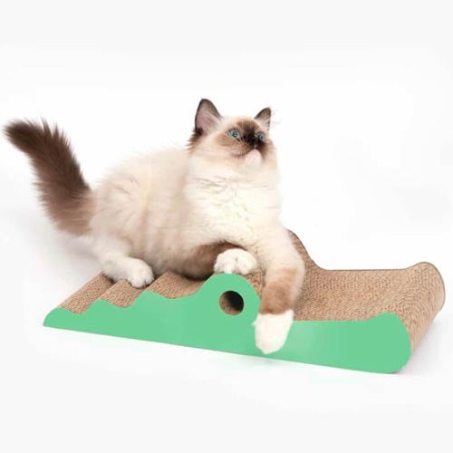 cat_it_rasguñador_cocodrilo2_gato_022517425022.jpg
