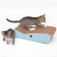 cat_it_rasguñador_tiburon2_gato_022517425015.jpg