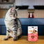 nibbly_salmon_90_gr_2