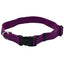 new_earth_collar_soya_berenja_extra_small_1