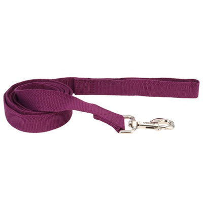 new_earth_correa_soya_berenjena_medium_1