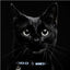 lazer_brite_diamond_collar_cat_2