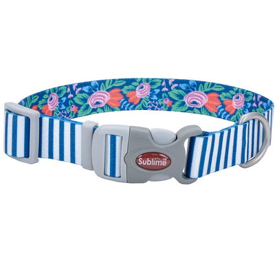 Coastal_Pet_Collar_Perro_Teal_Stripe_076484239304.jpg