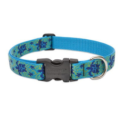 collar1turtlereeftallal_collar_lupine_perros_746889808534.jpg