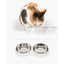 comedero_borde_bajo_doble_blanco_comedero_y_bebedero_catit_gatos_022517438725.jpg