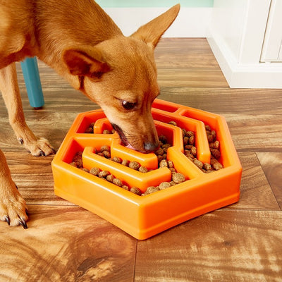 comedero_interactivo_hexagono2_naranjo_comederos_animal_care_canino_188094000608.jpg