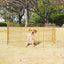 corral_small_8_paneles_8886467525582.jpg