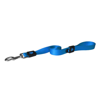 Correa Perro Signature Azul Large