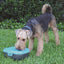 dog_h20_fuente_bebedera2_4897030554384.jpg