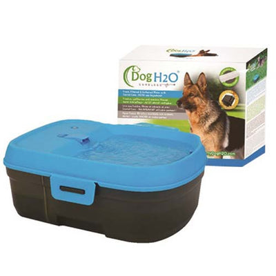 dog_h20_fuente_bebedera_4897030554384.jpg