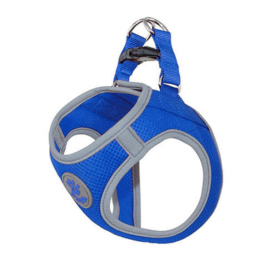 Arnes Perro Athletica DCA308 Azul - 15 S