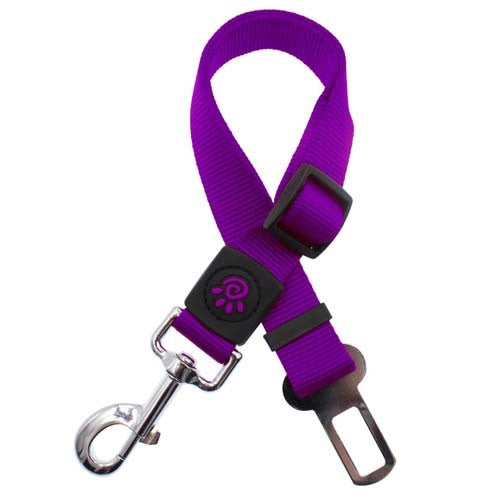 doco_cinturon_seguridad_purpura_perro_888886031789.jpg