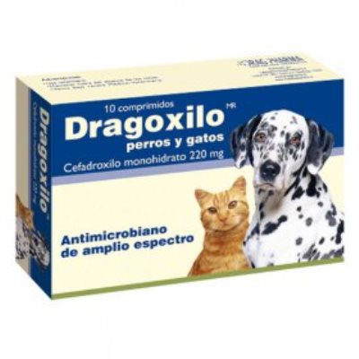 dragoxilo_220_mg_antibiotico_drag_pharma_perro_y_gato.jpg