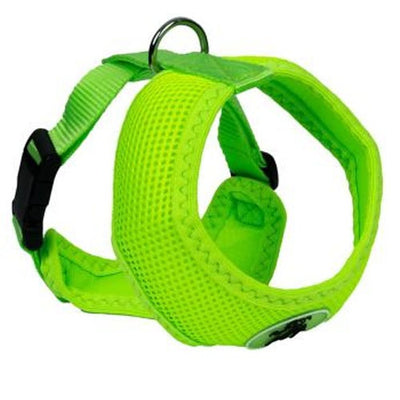 for_my_pet_arnes_perro_lima2_ac00624.jpg