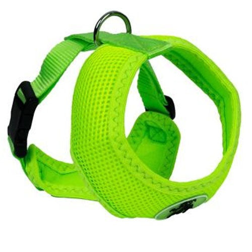 for_my_pet_arnes_perro_lima2_ac0063.jpg