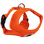 for_my_pet_arnes_perro_naranja2_ac00604.jpg