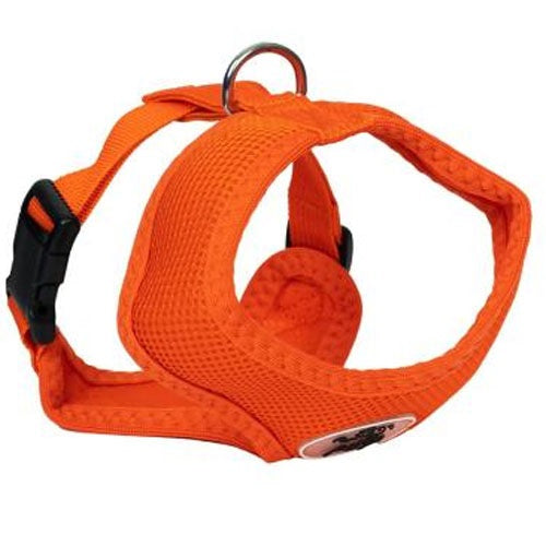 for_my_pet_arnes_perro_naranja2_ac00631.jpg