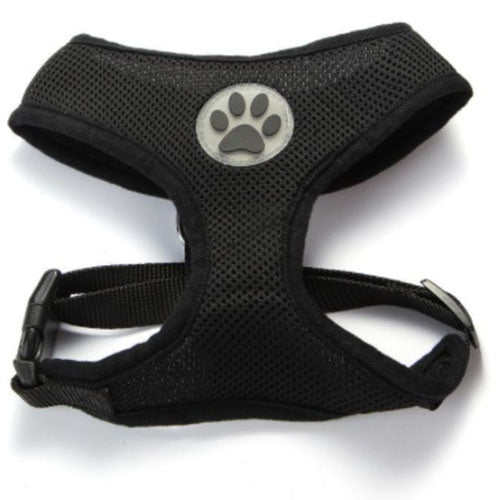 for_my_pet_arnes_perro_negro_ac00592.jpg