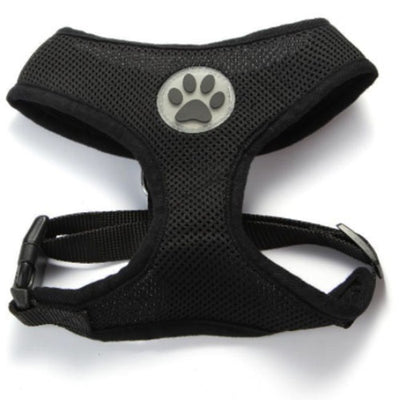 for_my_pet_arnes_perro_negro_ac00592.jpg