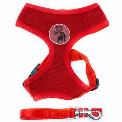 for_my_pet_arnes_perro_rojo_ac00591.jpg