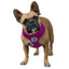 for_my_pet_arnes_perro_rosado2_ac00608.jpg