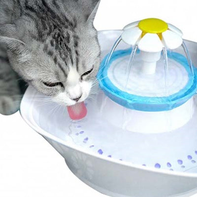 fuente_flor2_gato_781159790829.jpg
