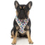 fuzzyard_arnes_perro_jenga2_9345719039806.jpg